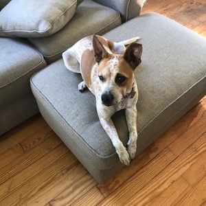 Meet your Posher, Arzu